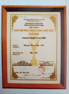 Giải thưởng chất lượng Việt Nam 2003